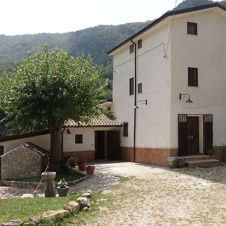 Готель Azienda Agrituristica Terraria Кампанья Екстер'єр фото